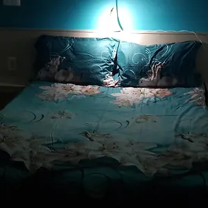 https://libera.sofiahotelsbg.com
